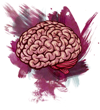 Archivo:Cerebro.png