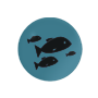 Archivo:ev4.png