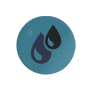 Archivo:ev7.png