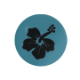 Archivo:ev9.png